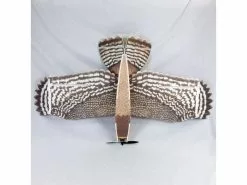 HACKER Model Production Flugzeug HAWK elektro Birdwing 1370 mm ARF -RC Flugzeug Verkäufe 195761959 xxl