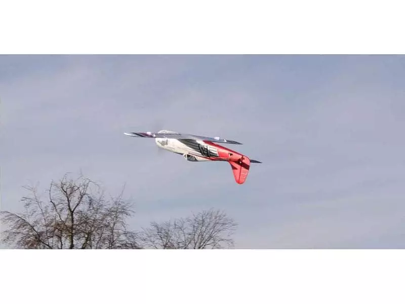 Multiplex Warbird RaceWulf RR 950 mm PNP 7 Multiplex Warbird RaceWulf RR 950 mm PNP – Bild 7